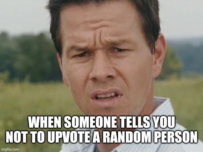 Huh  | WHEN SOMEONE TELLS YOU NOT TO UPVOTE A RANDOM PERSON | image tagged in huh | made w/ Imgflip meme maker