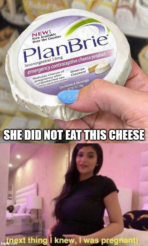 SHE DID NOT EAT THIS CHEESE | image tagged in next thing i knew i was pregnant,fake | made w/ Imgflip meme maker