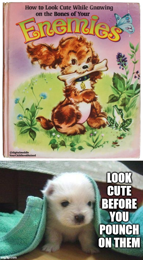 LOOK CUTE BEFORE YOU POUNCH ON THEM | image tagged in cute puppy,fake | made w/ Imgflip meme maker