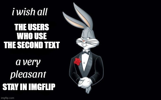 yes | THE USERS WHO USE THE SECOND TEXT; STAY IN IMGFLIP | image tagged in i wish all the x a very pleasant evening | made w/ Imgflip meme maker