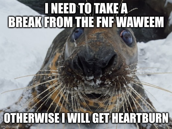 his name's bim bim | I NEED TO TAKE A BREAK FROM THE FNF WAWEEM; OTHERWISE I WILL GET HEARTBURN | image tagged in his name's bim bim | made w/ Imgflip meme maker