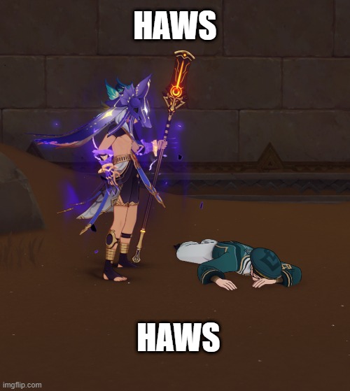 Haws indeed | HAWS; HAWS | image tagged in memes | made w/ Imgflip meme maker