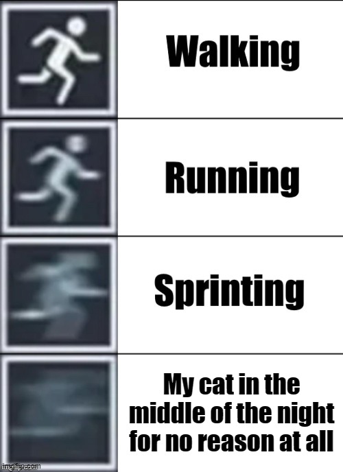 Very Fast | My cat in the middle of the night for no reason at all | image tagged in very fast | made w/ Imgflip meme maker