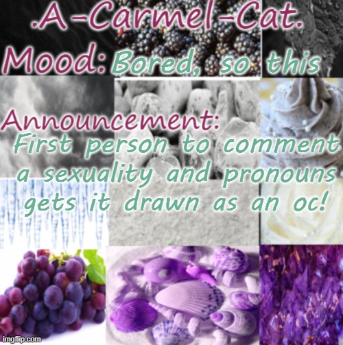 Only one slot. Example: Bisexual and a She/Her | Bored, so this; First person to comment a sexuality and pronouns gets it drawn as an oc! | image tagged in a-carmel-cat ace announcement | made w/ Imgflip meme maker