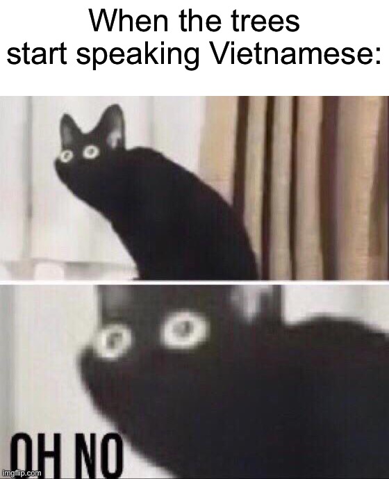I don’t think that’s good… | When the trees start speaking Vietnamese: | image tagged in oh no cat,dark humor | made w/ Imgflip meme maker
