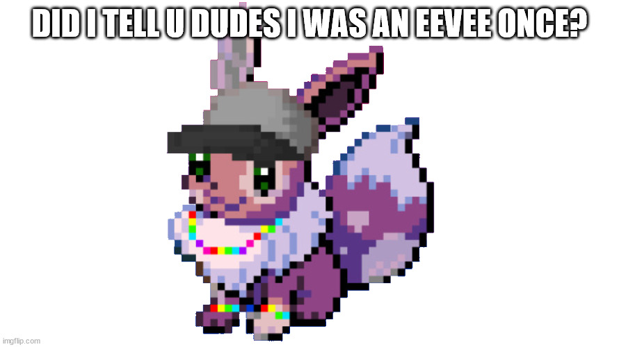 sylceon/eevee | DID I TELL U DUDES I WAS AN EEVEE ONCE? | image tagged in sylceon/eevee | made w/ Imgflip meme maker