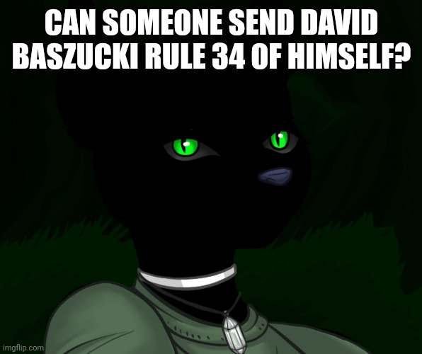 My new panther fursona | CAN SOMEONE SEND DAVID BASZUCKI RULE 34 OF HIMSELF? | image tagged in my new panther fursona | made w/ Imgflip meme maker