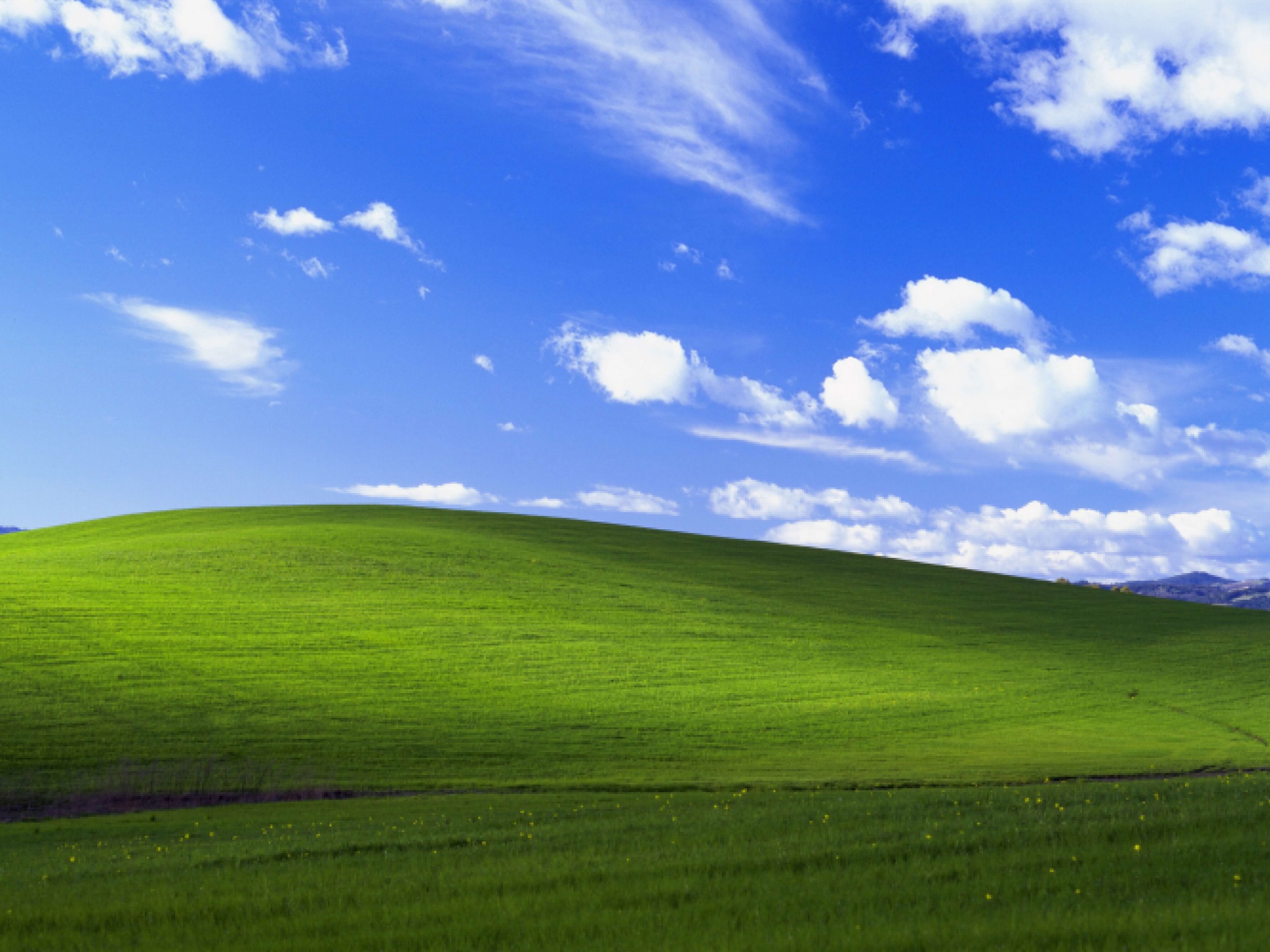 Convinent windows backround Blank Meme Template