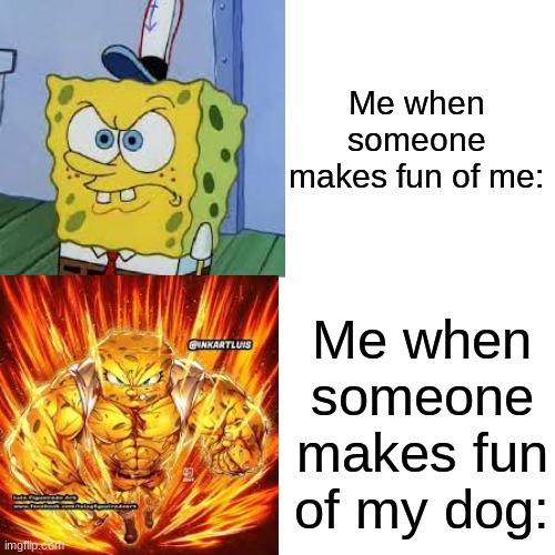 so true | Me when someone makes fun of me:; Me when someone makes fun of my dog: | image tagged in memes,drake hotline bling | made w/ Imgflip meme maker
