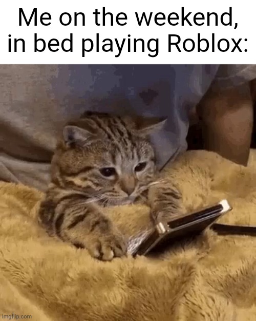 yes lol | Me on the weekend, in bed playing Roblox: | image tagged in cat with cell phone,just chillin',memes,funny,roblox | made w/ Imgflip meme maker