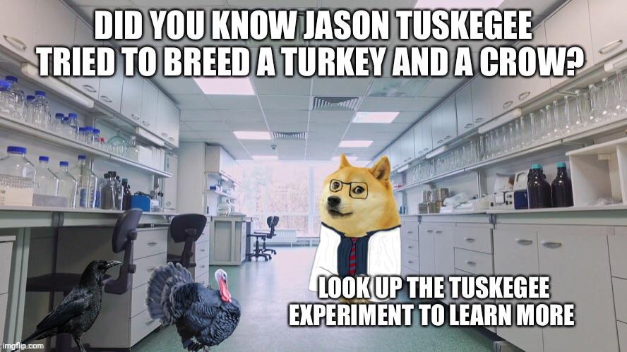 Quite interesting was the experiment | made w/ Imgflip meme maker