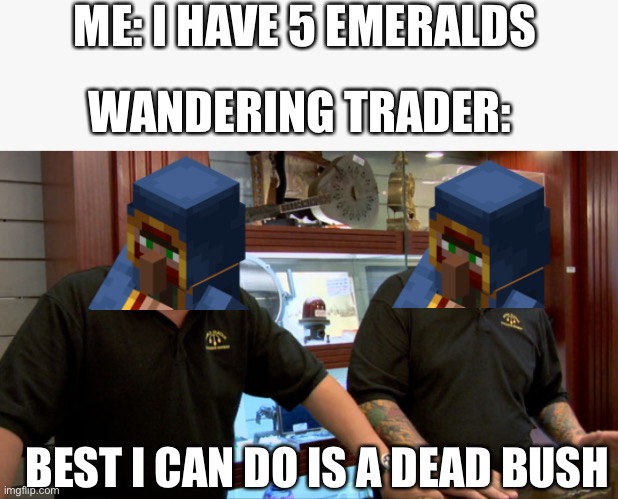 They suck | ME: I HAVE 5 EMERALDS; WANDERING TRADER:; BEST I CAN DO IS A DEAD BUSH | image tagged in pawn stars best i can do | made w/ Imgflip meme maker