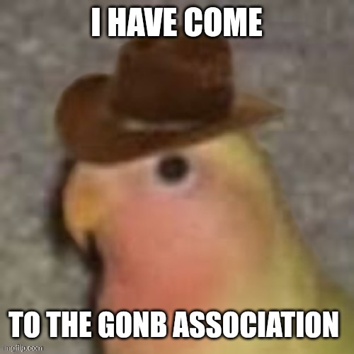 Gonb together stromg | I HAVE COME; TO THE GONB ASSOCIATION | image tagged in birb,announcement,i have a dream | made w/ Imgflip meme maker
