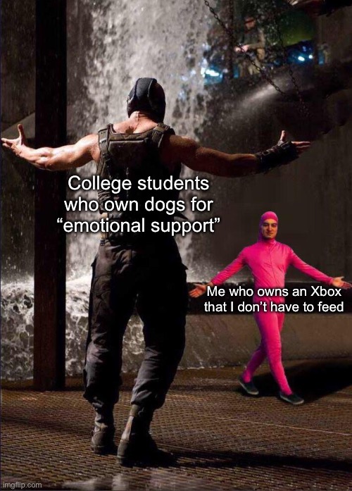 Don’t need to take a game console on a walk | College students who own dogs for “emotional support”; Me who owns an Xbox that I don’t have to feed | image tagged in pink guy vs bane | made w/ Imgflip meme maker