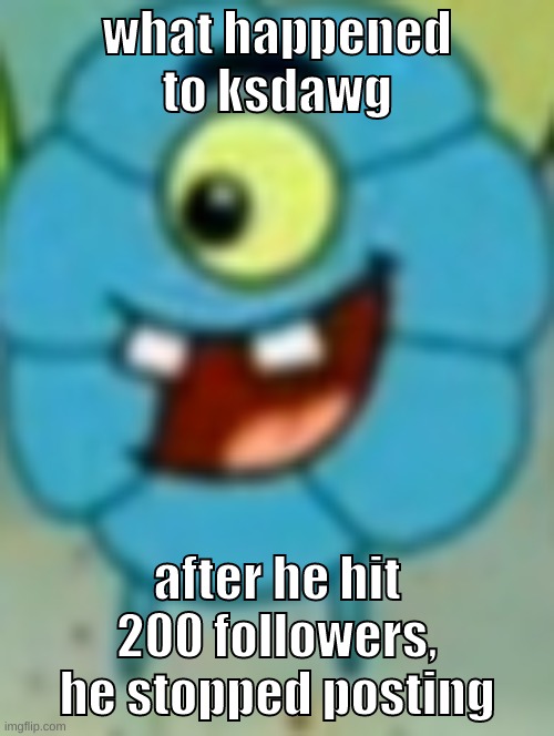 PLEASE TELL ME HE DIDNT QUIT | what happened to ksdawg; after he hit 200 followers, he stopped posting | image tagged in memes,funny,flower plankton,ksdawg,what happened,tell me | made w/ Imgflip meme maker