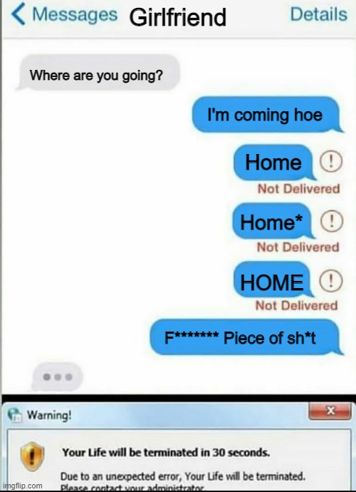 r.i.p man | Girlfriend; Where are you going? I'm coming hoe; Home; Home*; HOME; F******* Piece of sh*t | image tagged in your life will be terminated in 30 seconds | made w/ Imgflip meme maker
