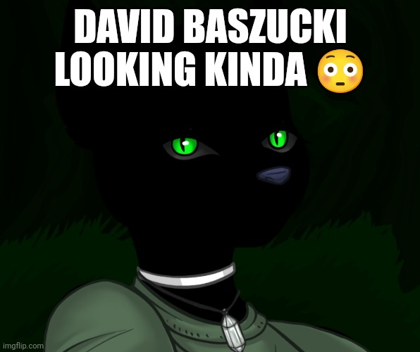 My new panther fursona | DAVID BASZUCKI LOOKING KINDA 😳 | image tagged in my new panther fursona | made w/ Imgflip meme maker