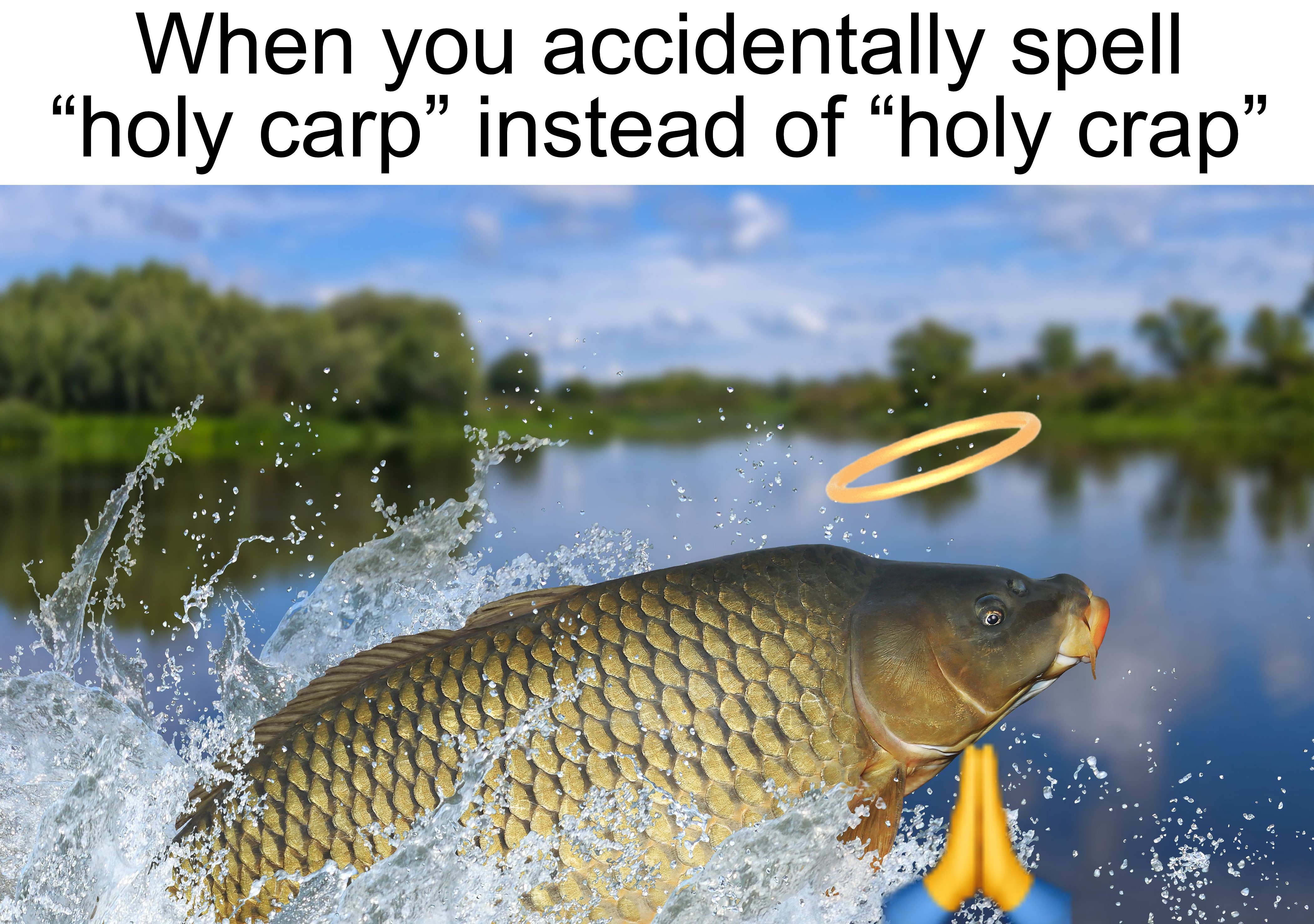 Holy carp! | When you accidentally spell “holy carp” instead of “holy crap” | image tagged in memes,funny,fish,holy,woah,wait what | made w/ Imgflip meme maker