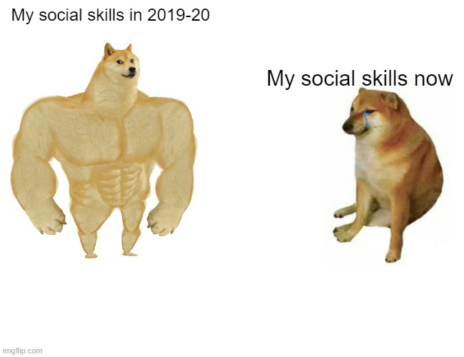 No friends moment |  My social skills in 2019-20; My social skills now | image tagged in memes,buff doge vs cheems,no friends,social anxiety | made w/ Imgflip meme maker