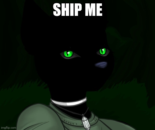 My new panther fursona | SHIP ME | image tagged in my new panther fursona | made w/ Imgflip meme maker