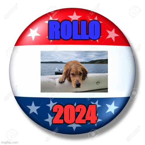 Rollo for President | ROLLO; 2024 | image tagged in blank for president | made w/ Imgflip meme maker