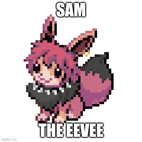 sam | SAM; THE EEVEE | image tagged in sam | made w/ Imgflip meme maker