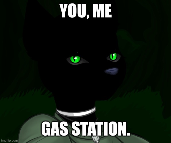 What are we getting for dinner? Sushi if course. | YOU, ME; GAS STATION. | image tagged in my new panther fursona | made w/ Imgflip meme maker