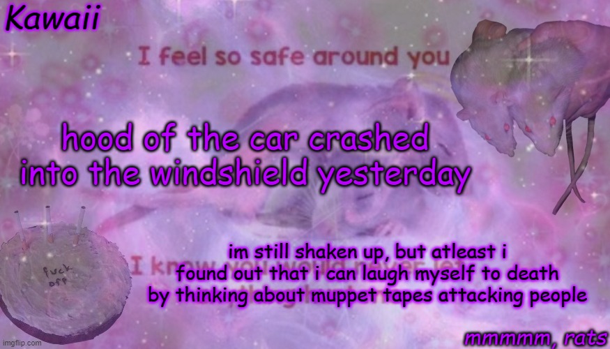 yippee | hood of the car crashed into the windshield yesterday; im still shaken up, but atleast i found out that i can laugh myself to death by thinking about muppet tapes attacking people | image tagged in kawaii's rat temp bc yes | made w/ Imgflip meme maker