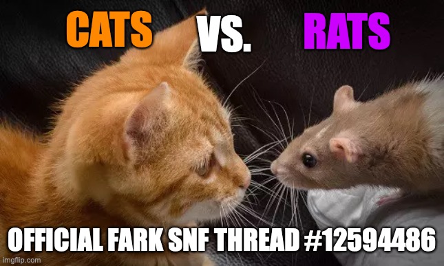 RATS; VS. CATS; OFFICIAL FARK SNF THREAD #12594486 | made w/ Imgflip meme maker