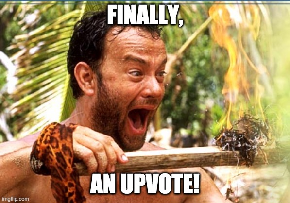 Every noob | FINALLY, AN UPVOTE! | image tagged in memes,castaway fire | made w/ Imgflip meme maker