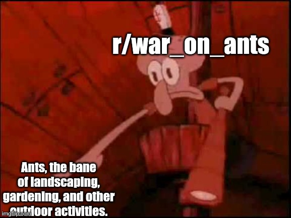 War were declared | r/war_on_ants; Ants, the bane of landscaping, gardening, and other outdoor activities. | image tagged in squidward pointing | made w/ Imgflip meme maker