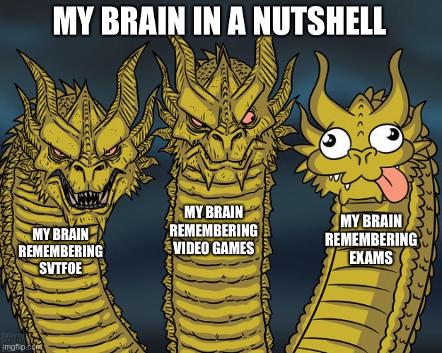 Anyone relate? | MY BRAIN IN A NUTSHELL; MY BRAIN REMEMBERING VIDEO GAMES; MY BRAIN REMEMBERING EXAMS; MY BRAIN REMEMBERING SVTFOE | image tagged in three-headed dragon,memes,relatable memes,relatable,brain,funny | made w/ Imgflip meme maker