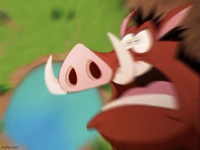 Pumbaa screaming while falling into a pond | image tagged in pumbaa screaming while falling into a pond | made w/ Imgflip meme maker