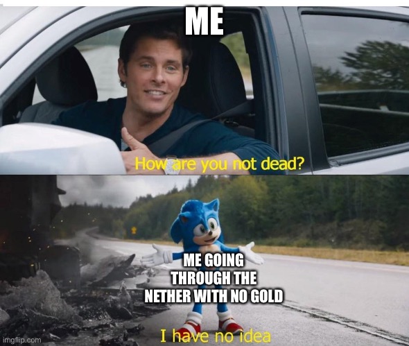 sonic how are you not dead | ME; ME GOING THROUGH THE NETHER WITH NO GOLD | image tagged in sonic how are you not dead | made w/ Imgflip meme maker