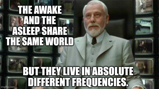 Feels good to be awake. | THE AWAKE AND THE ASLEEP SHARE THE SAME WORLD; BUT THEY LIVE IN ABSOLUTE DIFFERENT FREQUENCIES. | image tagged in architect matrix | made w/ Imgflip meme maker