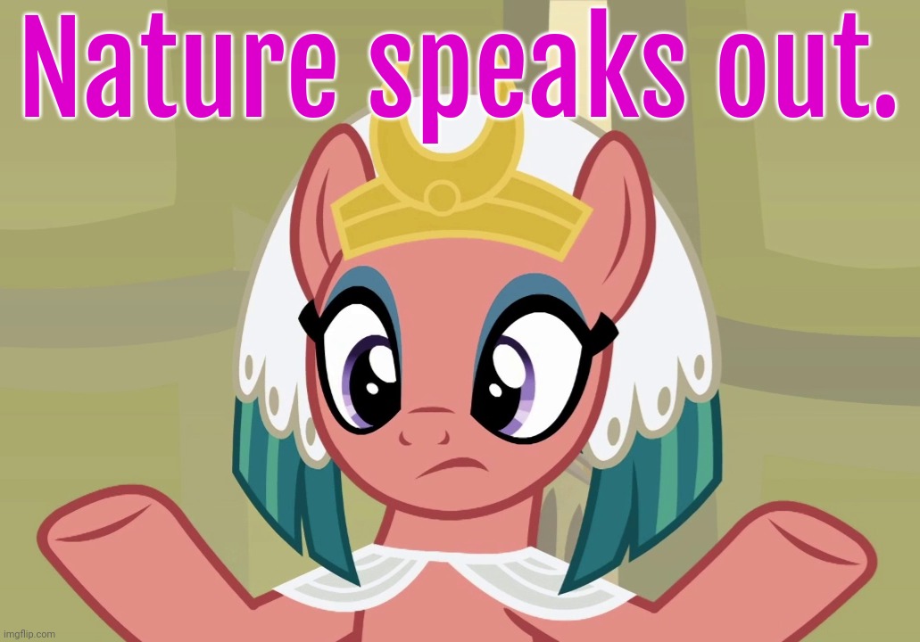 Concerned Somnambula (MLP) | Nature speaks out. | image tagged in concerned somnambula mlp | made w/ Imgflip meme maker