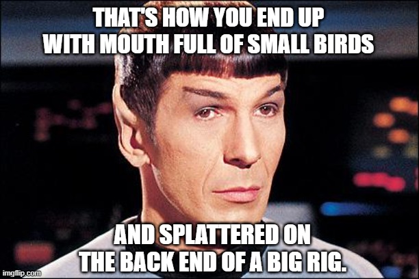 Condescending Spock | THAT'S HOW YOU END UP WITH MOUTH FULL OF SMALL BIRDS AND SPLATTERED ON THE BACK END OF A BIG RIG. | image tagged in condescending spock | made w/ Imgflip meme maker