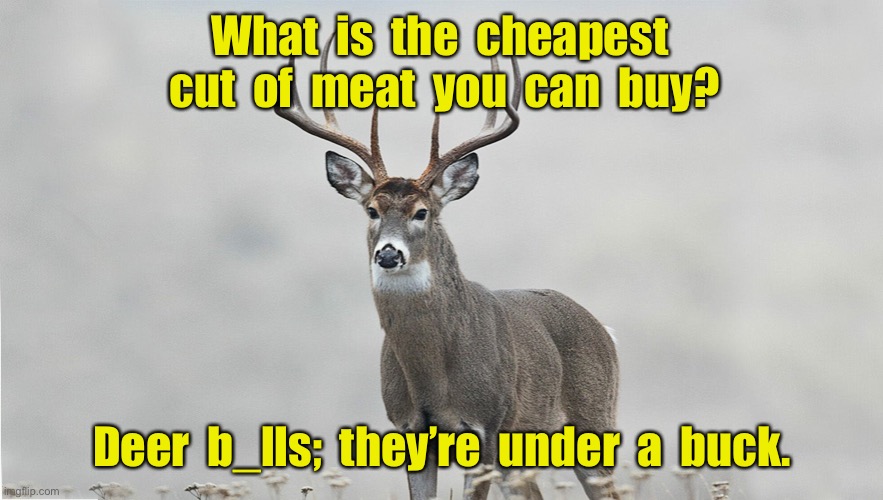 Cheap cut of meat | What  is  the  cheapest  cut  of  meat  you  can  buy? Deer  b_lls;  they’re  under  a  buck. | image tagged in deer buck,cheap,cut of meat,deer b_lls,under buck,memes_overload | made w/ Imgflip meme maker