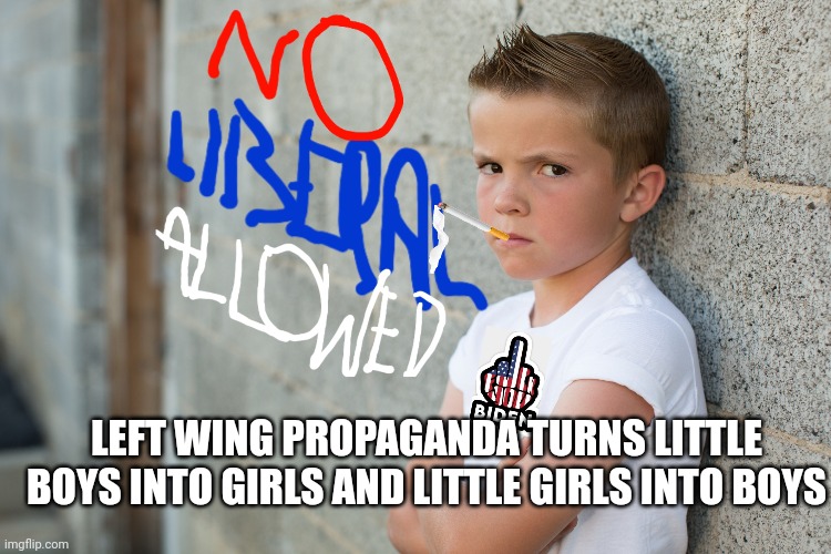 LEFT WING PROPAGANDA TURNS LITTLE BOYS INTO GIRLS AND LITTLE GIRLS INTO BOYS | made w/ Imgflip meme maker