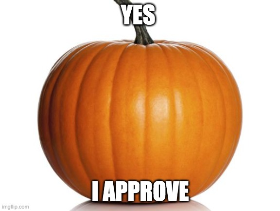 pumpkin | YES I APPROVE | image tagged in pumpkin | made w/ Imgflip meme maker