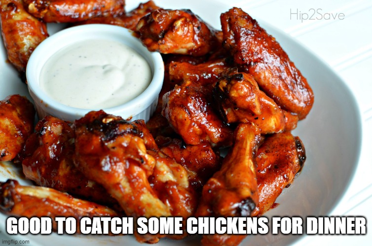 Chicken wing | GOOD TO CATCH SOME CHICKENS FOR DINNER | image tagged in chicken wing | made w/ Imgflip meme maker