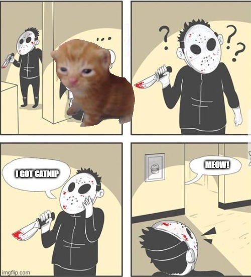 jason | I GOT CATNIP MEOW! | image tagged in jason | made w/ Imgflip meme maker