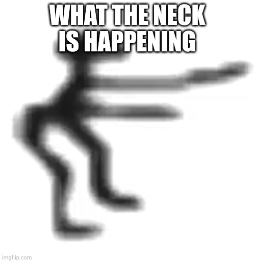 cbat | WHAT THE NECK IS HAPPENING | image tagged in cbat | made w/ Imgflip meme maker