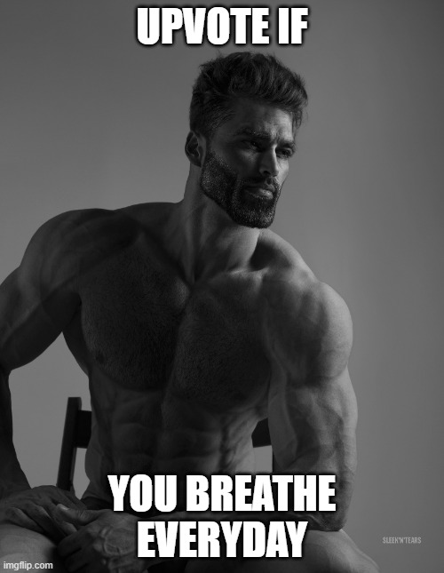 If you don't upvote you are not breathing | UPVOTE IF; YOU BREATHE EVERYDAY | image tagged in giga chad,breathe | made w/ Imgflip meme maker