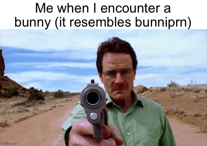 Walter White gun | Me when I encounter a bunny (it resembles bunniprn) | image tagged in walter white gun | made w/ Imgflip meme maker