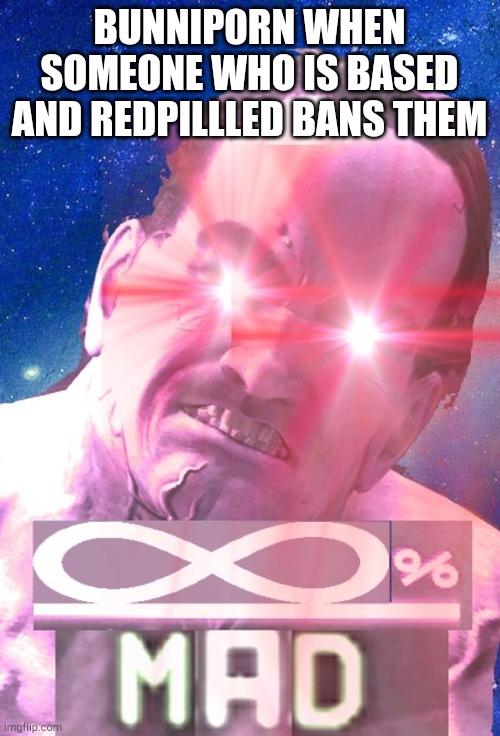 I N F I N I T E P E R C E N T M A D | BUNNIP0RN WHEN SOMEONE WHO IS BASED AND REDPILLLED BANS THEM | image tagged in i n f i n i t e p e r c e n t m a d | made w/ Imgflip meme maker