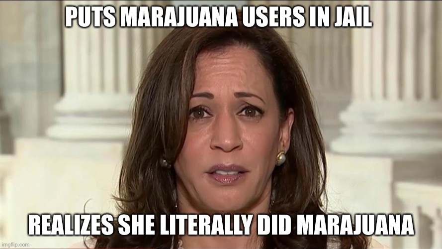 Ugh, Kamala Harris.. | PUTS MARAJUANA USERS IN JAIL; REALIZES SHE LITERALLY DID MARAJUANA | image tagged in kamala harris,memes,politics | made w/ Imgflip meme maker