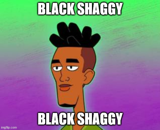 Black shaggy | BLACK SHAGGY; BLACK SHAGGY | image tagged in black shaggy | made w/ Imgflip meme maker