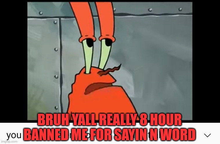 im black dumbass | BRUH YALL REALLY 8 HOUR BANNED ME FOR SAYIN N WORD | image tagged in you really haven't got any brains at all | made w/ Imgflip meme maker