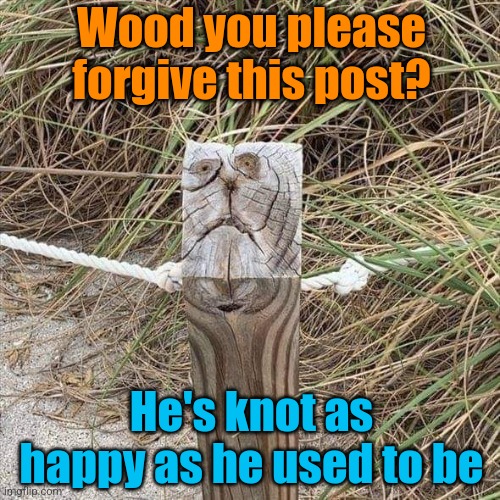 Sad post | Wood you please forgive this post? He's knot as happy as he used to be | image tagged in wood,posts,bad puns,stupid memes | made w/ Imgflip meme maker
